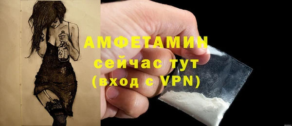 твердый Елабуга