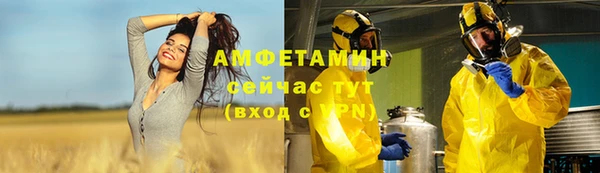 стафф Ельня