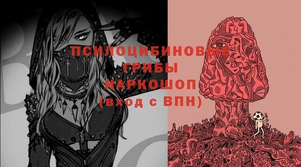 стафф Ельня