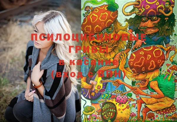 стафф Ельня