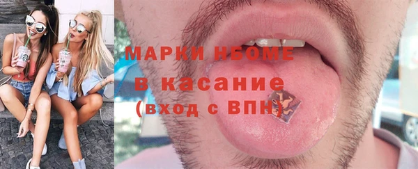 стафф Ельня