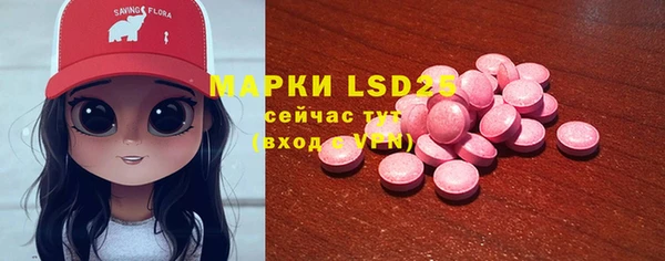 стафф Ельня