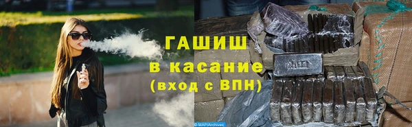 стафф Ельня