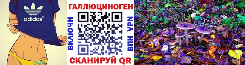 Купить Заринск Галлюциногенные грибы прущие грибы